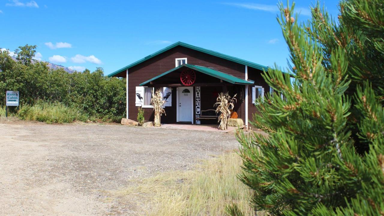 Ranch Mountain Cabin, Stunning! Campfire, Hiking Монтічелло Екстер'єр фото
